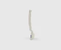 Szczotka do szczelin Salmon Hillbrush B1241W 180 mm średniej twardości włosie biała