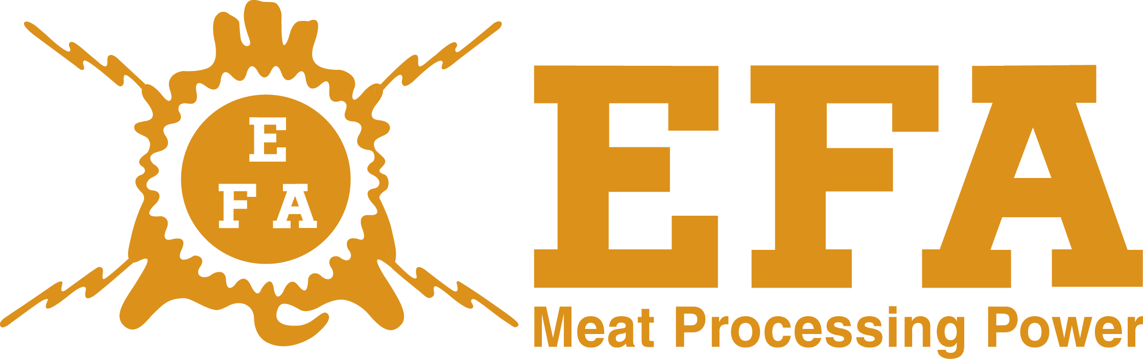Logo EFA